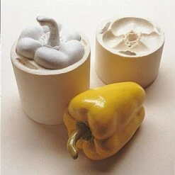 Pebeo Gedeo Moulding Alginate 500g -Pencils Artists 2000971 b