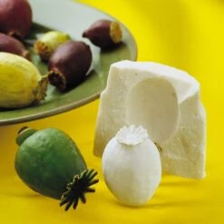 Pebeo Gedeo Moulding Alginate 500g -Pencils Artists 2000971 c