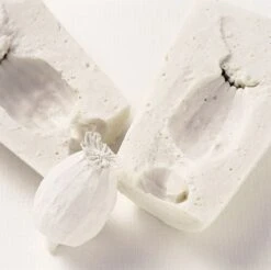 Pebeo Gedeo Moulding Alginate 500g -Pencils Artists 2000971 e