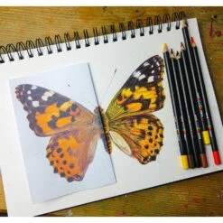 Uni POSCA Colour Pencil Box Set 36 Colours 9 Uni POSCA Colour Pencil Box Set 36 Colours -Pencils Artists 2001766 a 1