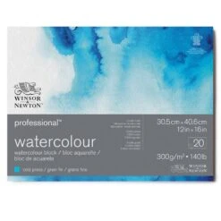 Winsor & Newton Professional Watercolour Cold Pressed Blocks