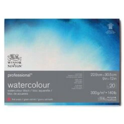 Winsor & Newton Professional Watercolour Hot Pressed Blocks