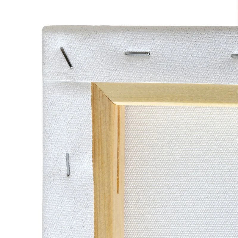 Liquitex Recycled Canvas In Metric Sizes (Boxes Of 5) 4 Liquitex Recycled Canvas In Metric Sizes (Boxes Of 5) - Image 4